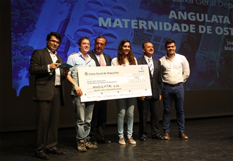 angulata.jpg