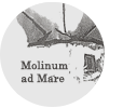 molinumadmare.png