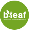 bleaf.png