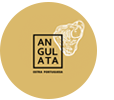 angulata.png (1)